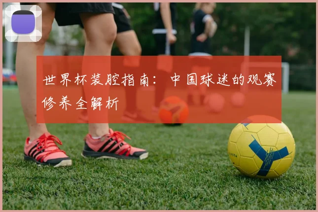 世界杯装腔指南：中国球迷的观赛修养全解析
