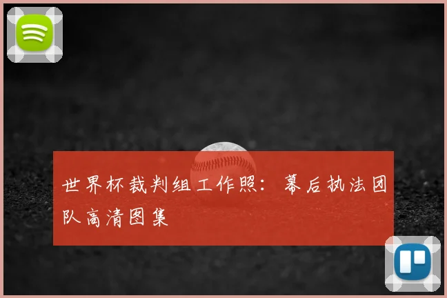 世界杯裁判组工作照：幕后执法团队高清图集