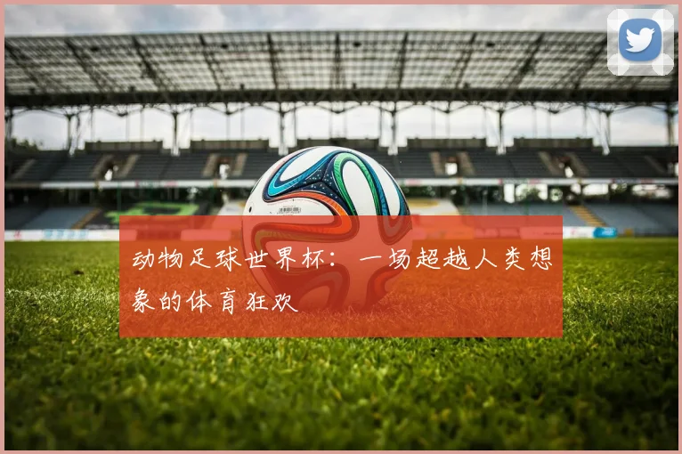 动物足球世界杯：一场超越人类想象的体育狂欢