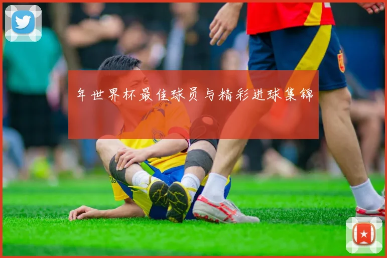 年世界杯最佳球员与精彩进球集锦