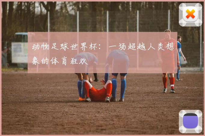 动物足球世界杯：一场超越人类想象的体育狂欢