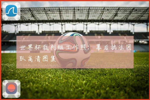 世界杯裁判组工作照：幕后执法团队高清图集