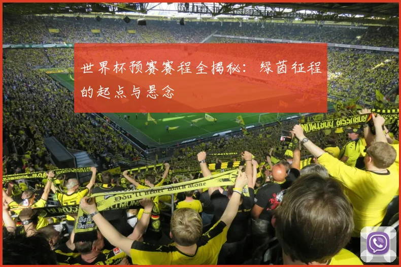 世界杯预赛赛程全揭秘：绿茵征程的起点与悬念