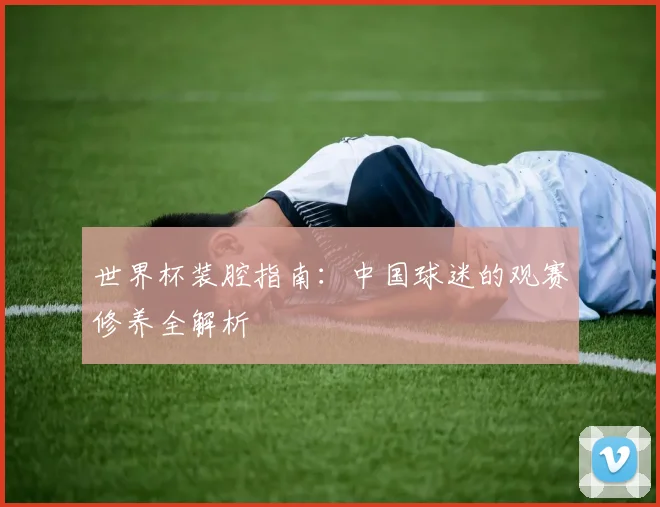 世界杯装腔指南：中国球迷的观赛修养全解析