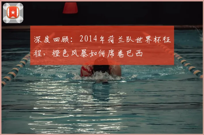 深度回顾:2014年荷兰队世界杯征程,橙色风暴如何席卷巴西