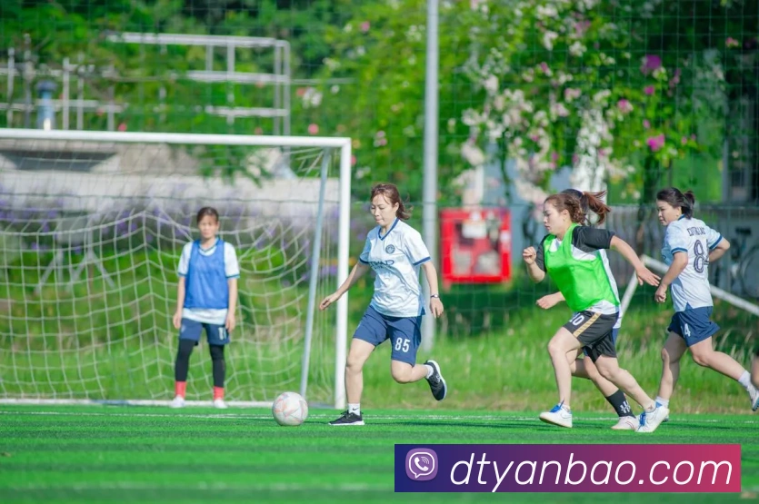 数据防护可视化